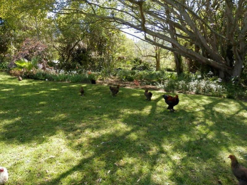 Braeside Guest House (Adults Only) Swellendam Kültér fotó
